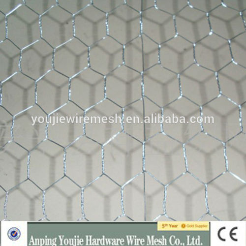 20 years factory hexagonal wire netting