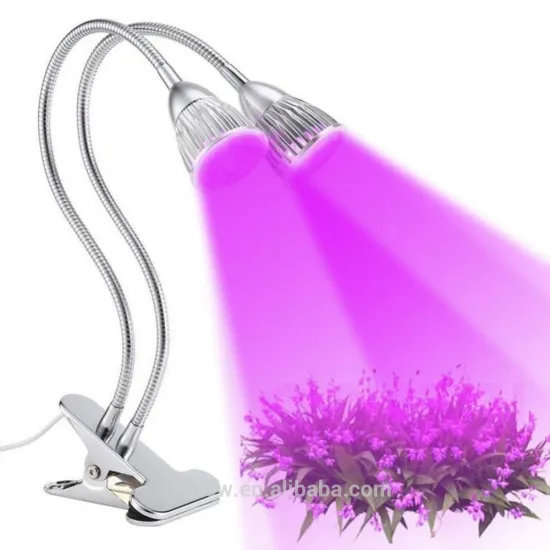 10W Double Head LED Par Grow Light with Double Power Switch for Garden Greenhouse
/