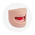 /msite/products/detail/productid/63053391/id/1517769.html