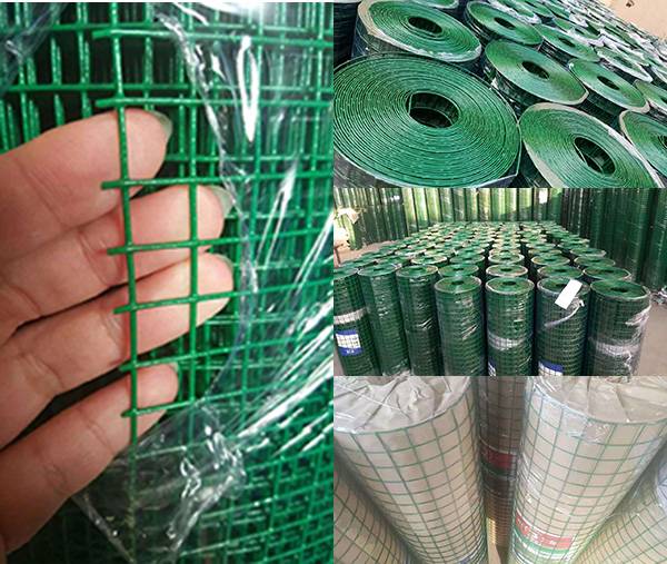 pvc-coated welded wire mesh rolls