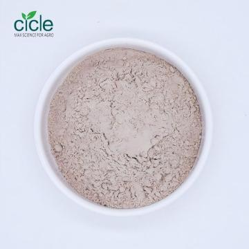 Bacillus thuringiensis subsp. israelensis BTI WP