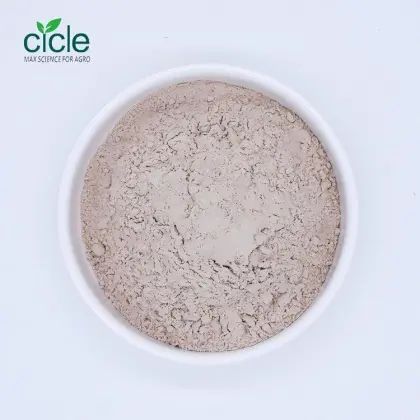 Bacillus thuringiensis subsp. israelensis BTI WP
