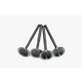 Direct Fit Intake Valve