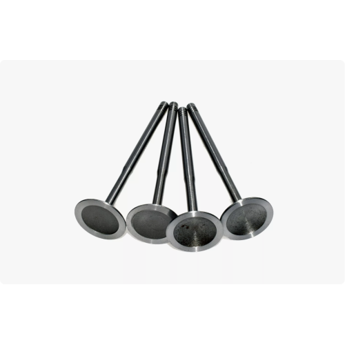 Direct Fit Intake Valve