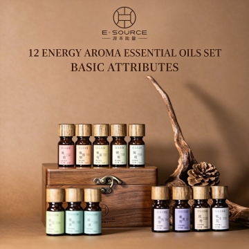 Multi Scent Home Fragrance Essential Oil