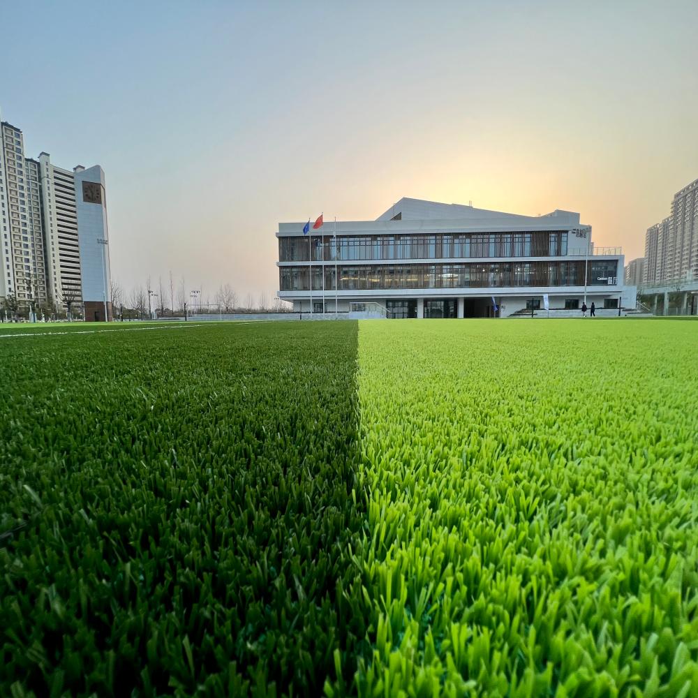 Football grass MHBS4B30-3020