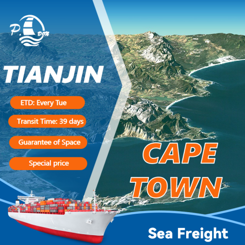 Sea Freight from Tianjin to Cape Town