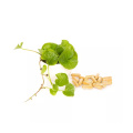 Centella asiatica Extract 90％Asiaticoside gotu Kola抽出物