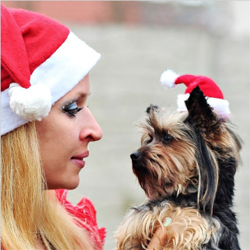 Factory Direct Pet Christmas Hats Dog Santa Hat Xmas Hat Holiday
