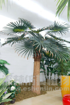 Artificial date palm tree, artificial palm tree, phoenix canarensis