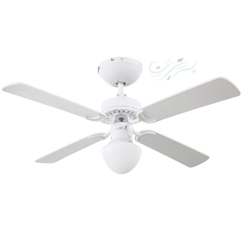 Ceiling Fan with LED