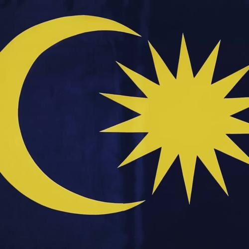 Competitive price 100% polyester flag line malaysia