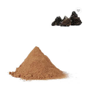 100 Pure Natural Fluvic Acid shilajit extract powder