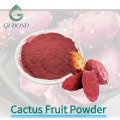 Порошок плодов кактуса для функционального питания