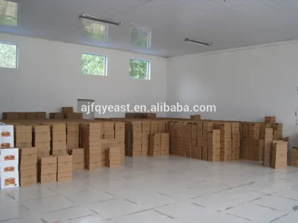 Active Instant Dry Yeast Maya Low Sugar Yeast