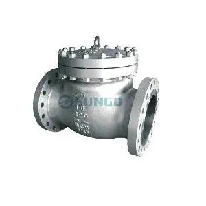 Check valve 10 Inch