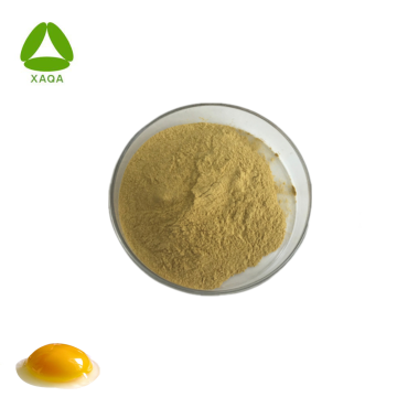 Nutrition Supplement CAS 93685-90-6 Egg Yolk Lecithin Powder