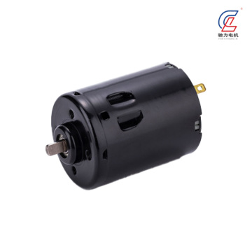 Langlebiger Mini-Gleichstrommotor für zuverlässige Stromversorgungslösungen