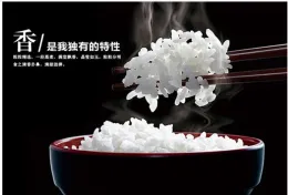 Braised Beef 450g Self-heating Rice Halal Food