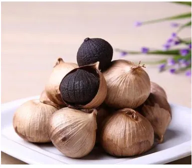 Household Black Garlic Fermenting Machine - OEM Custom, Global Voltage Plug Options