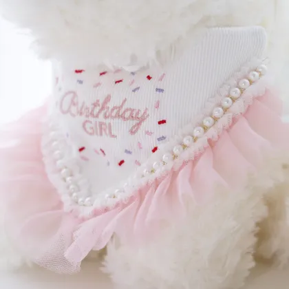 Dog Birthday Bandana Scarf - Adjustable Triangle Collar Scarf for Pets