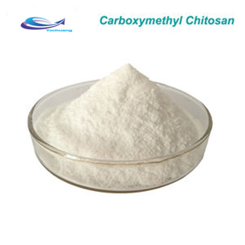 carboxymethyl chitosan powder buy