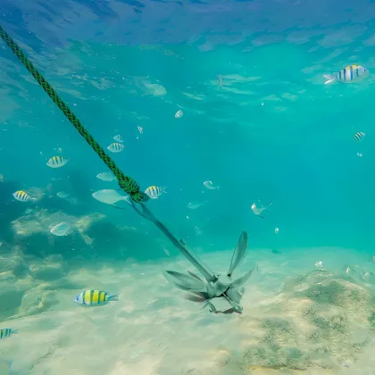 Anchor Kits Folding Anchor Accessories with Rope