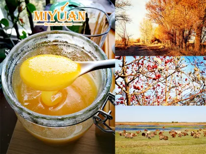 China raw pure honey Premium Wild flower bee Honey supply