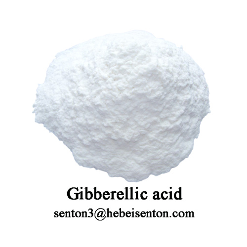 High Quality Plant Growth Regulator Gibberellin