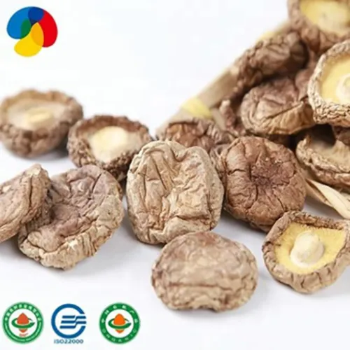 High Yield Shiitake Mushroom Spawn Logs, High Quality High Yield