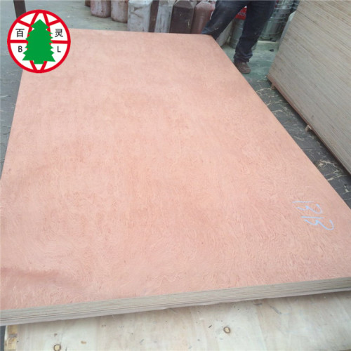 9mm Pencil Cender BBCC Plywood for sales