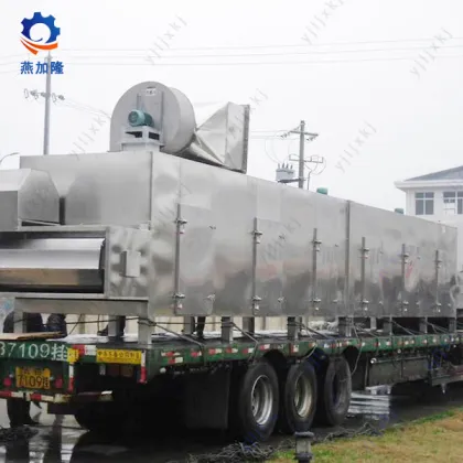 belt drying machine for fruit and chemical industry
