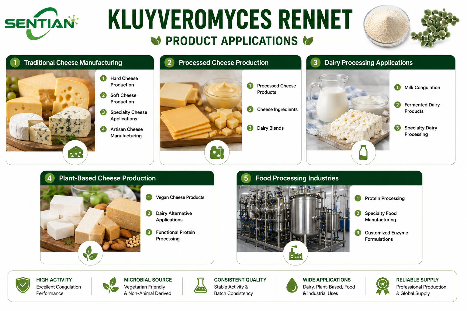 Kluyveromyces Rennet2