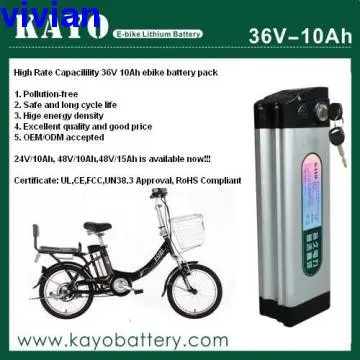 36V 10AhLi-Polymer ebike Battery Pack  battery