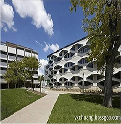 Pearl shell powder japan pearl powder Food grade