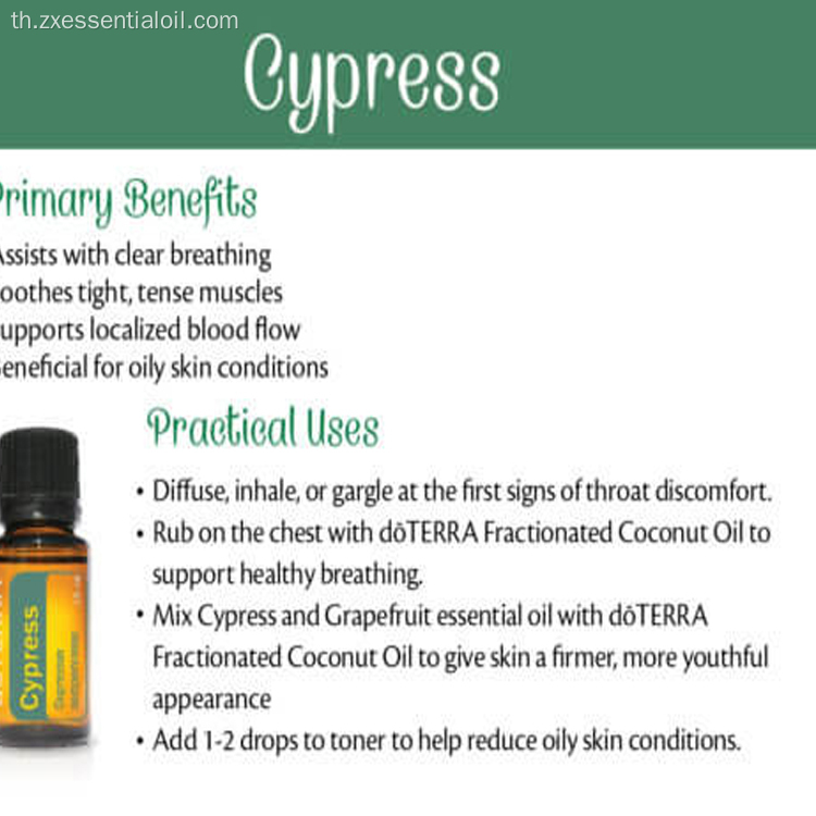 น้ำมัน Cypress อินทรีย์ธรรมชาติบริสุทธิ์ 100%