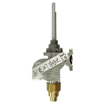 China Wholesale Stove Oven Hob Components LP Gas Control Valve