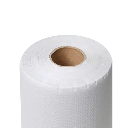 Brawny Paper Towels and Dispensers for Business