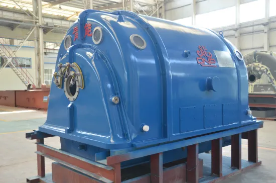Steam Turbine Induction Generator