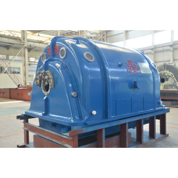 Steam Turbine Induction Generator