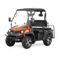 Jeep Style 200CC EFI Golf Cart UTVS