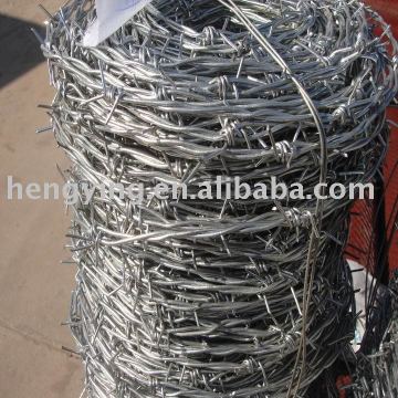 barbed wire qwe