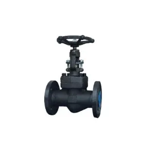 ASME Forged Steel Globe Valve