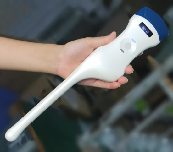 Pocket Type Trans vaginal convex Probe