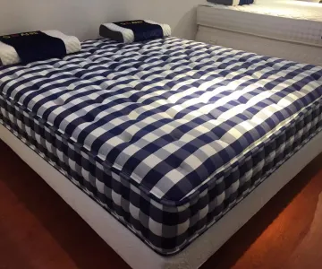 Custom Size Natural Horse Hair Mattress - China Horse Hair for Mattress