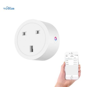 WiFi Zigbee HomeKit Smart Plug Firmware Flash Tasmota Tooya Socket für US UK EU JP India Brazil Südafrika