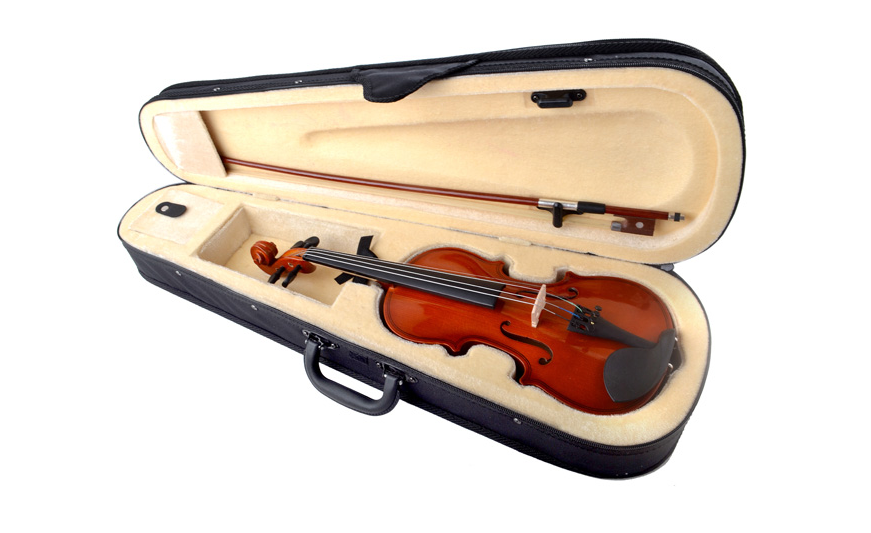 Tayste Violin R 20 1