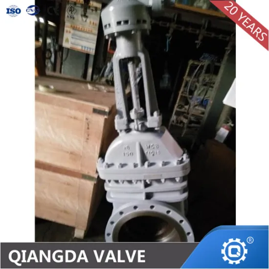 CN7M Stainless Steel Gate Valve