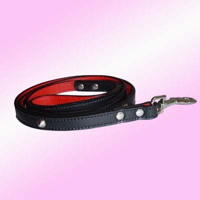 Flexi Dog Lead 