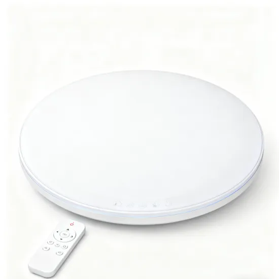 Elegant Modern LED Ceiling Light for Home Decor